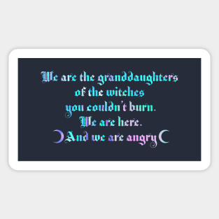 We are the granddaughters of the witches you couldn't burn 2.0 Sticker